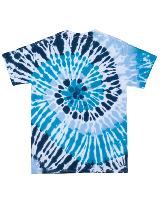 Dyenomite Deal - Stillwater Spiral Tie Dye Tee