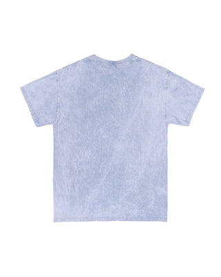 Vintage Blue Mineral Wash Tee